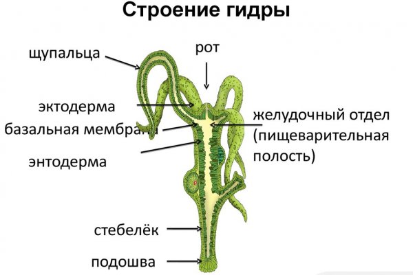 Почему кракен не блокируют