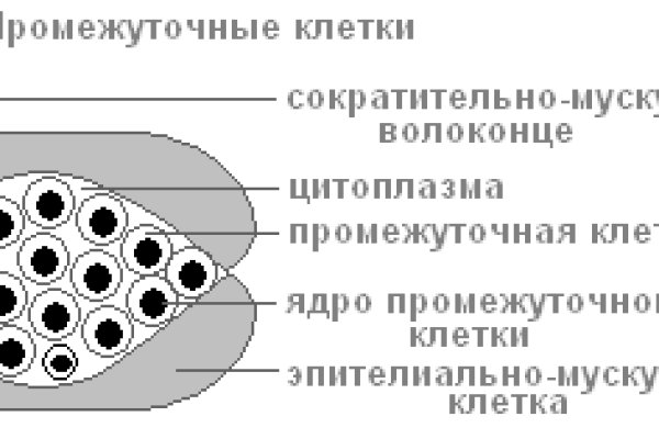 Новая ссылка кракена